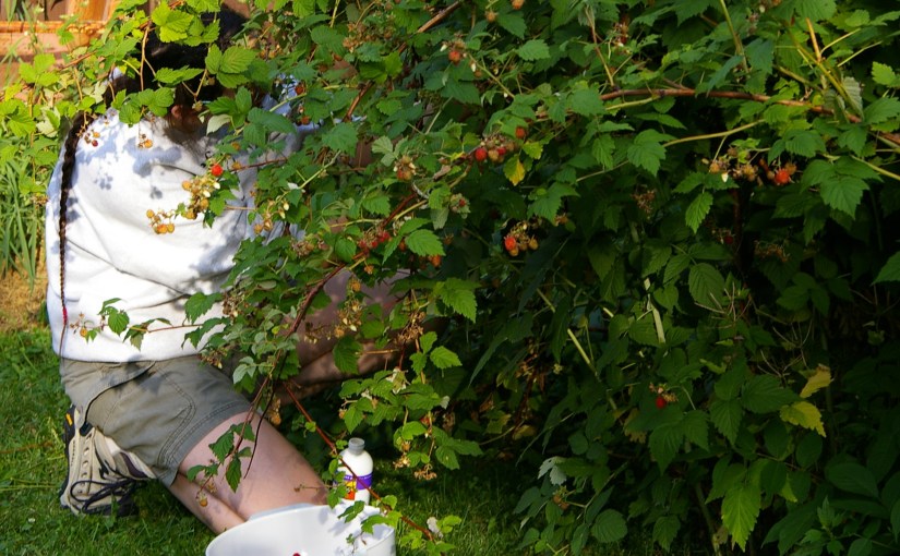 Writer Brain… Again