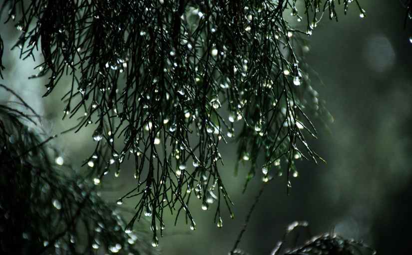 Speed Writing #12 – A Soggy&nbsp;Start