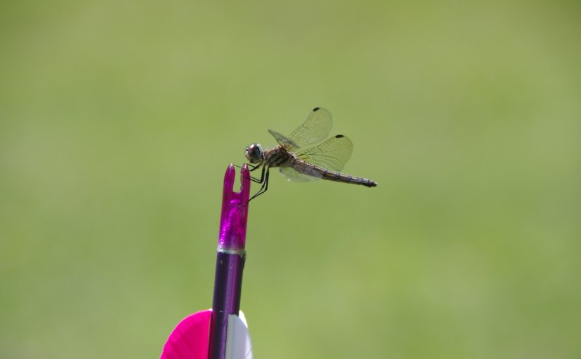 Speed Writing #10 – Fumbled&nbsp;Shot